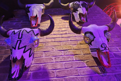 20240316_191949 - Rock & Brews Restaurant, Potawatomi Casino Hotel - Noisy Neighbors Band