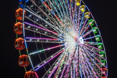 DSC01031DSC00160 - - Noisy Neighbors Band - Wisconsin State Fair 2022 - Knucklehead's Stage