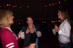 782-1 - Noisy Neighbors Band at St. James Festival in Mukwonago