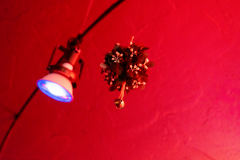 Noisy-Neighbors-Band-Vino-Etcetera-Oconomowoc-20231202-DSC00365